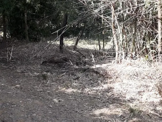 Chácara com 5000m², à venda, no bairro Bom Jardim em Guaratinguetá