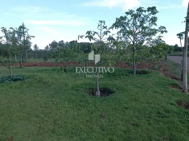 Chácara com 12413m², à venda, no bairro Zona Rural em Cruzeiro Do Sul