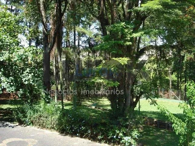 Chácara, 4 quartos, 2 hectares - Foto 34