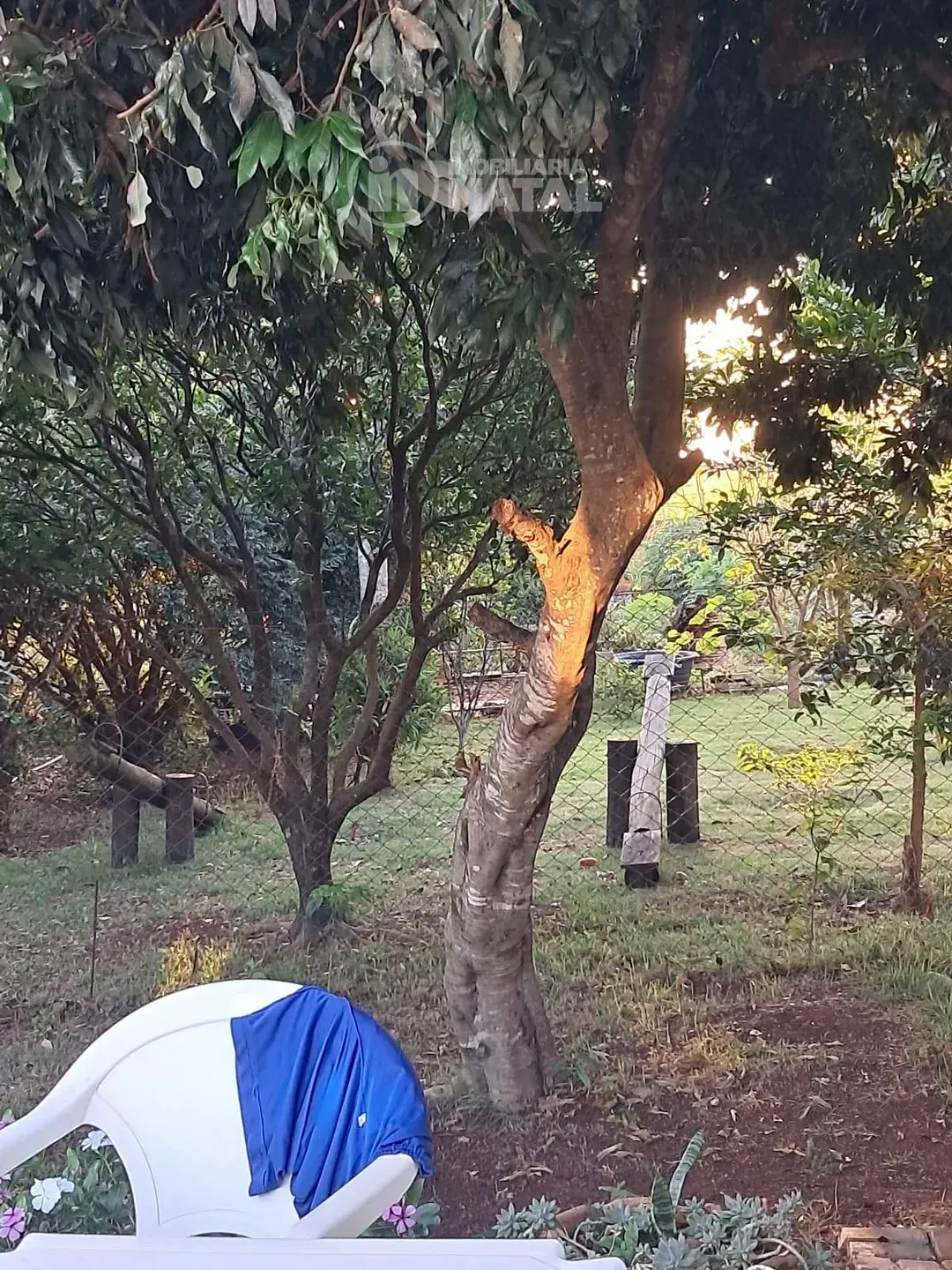 Chácara, 5 quartos, 1500 m² - Foto 8