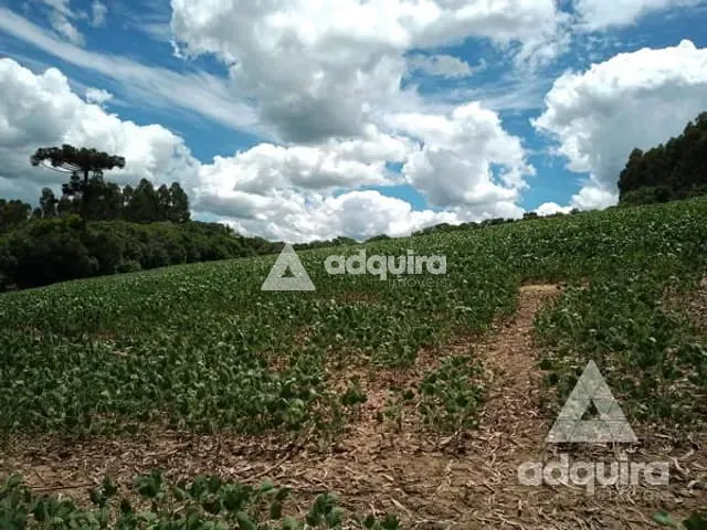 Chácara com 17545m², à venda, no bairro Centro em Palmeira