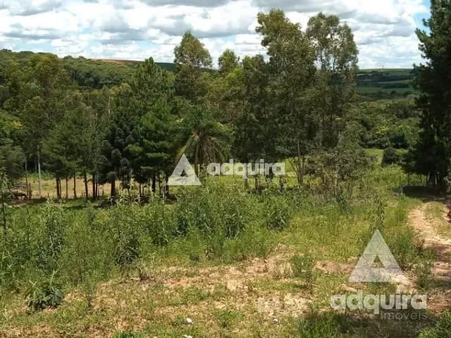 Chácara com 17545m², à venda, no bairro Centro em Palmeira