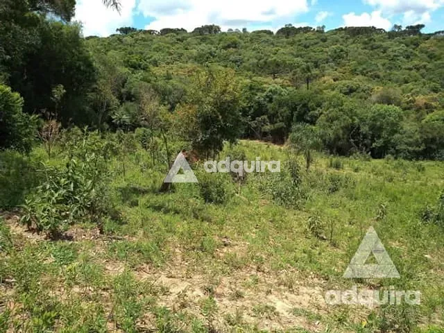 Chácara com 17545m², à venda, no bairro Centro em Palmeira