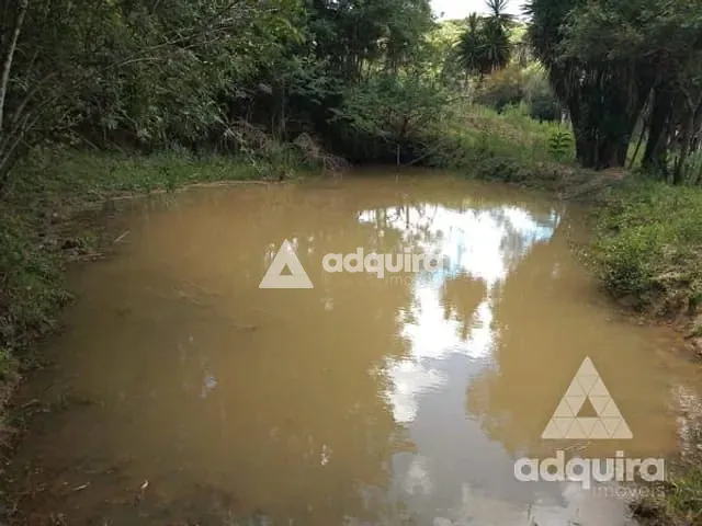 Chácara com 17545m², à venda, no bairro Centro em Palmeira