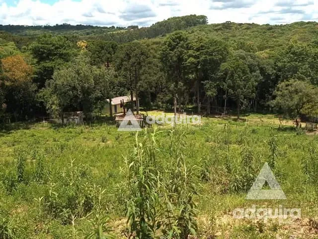 Chácara com 17545m², à venda, no bairro Centro em Palmeira