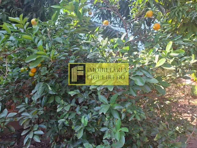 Chácara 1 quarto e 2 banheiros, à venda, no bairro Estância Santa Maria (Zona Rural) em São José do Rio Preto