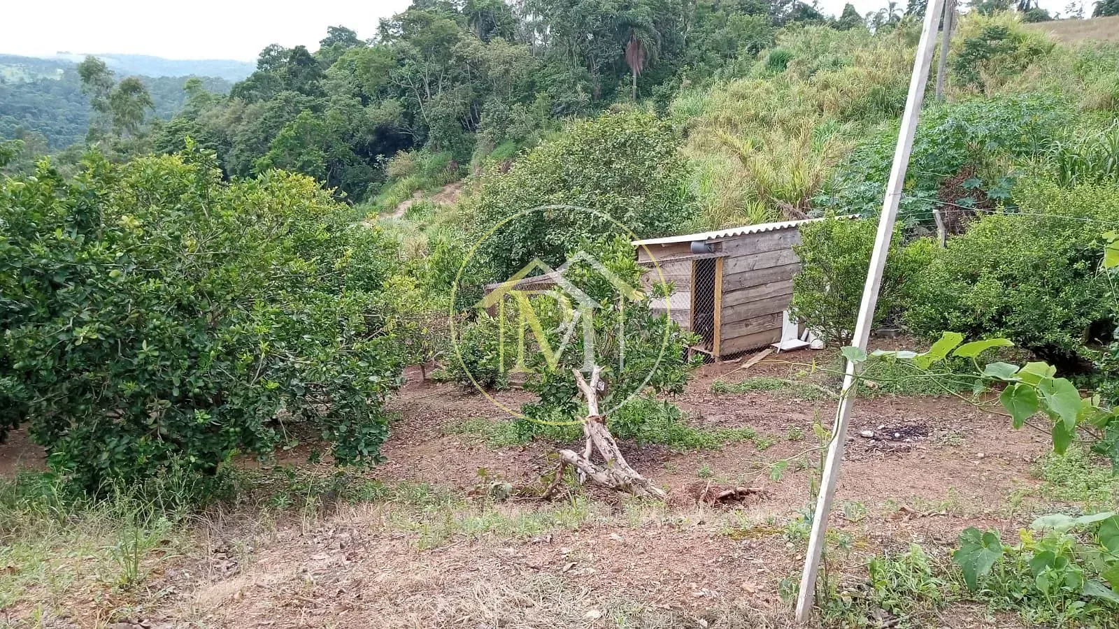 Chácara, 2 quartos, 9300 m² - Foto 23