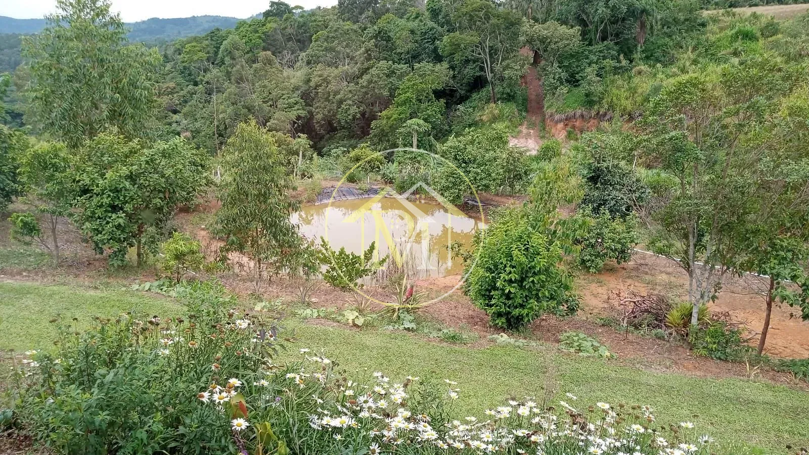 Chácara, 2 quartos, 9300 m² - Foto 16