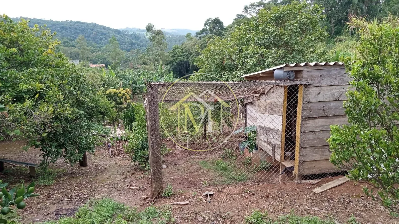 Chácara, 2 quartos, 9300 m² - Foto 22