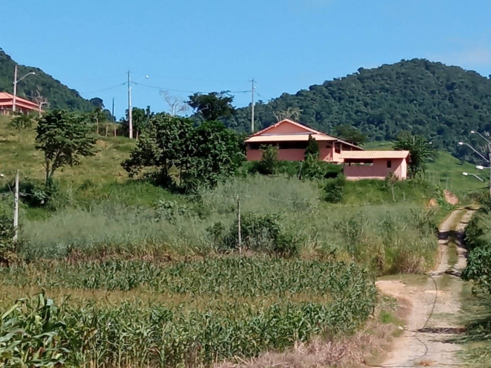 Chácara à venda, Zona Rural, Silveirânia, MG - foto 4