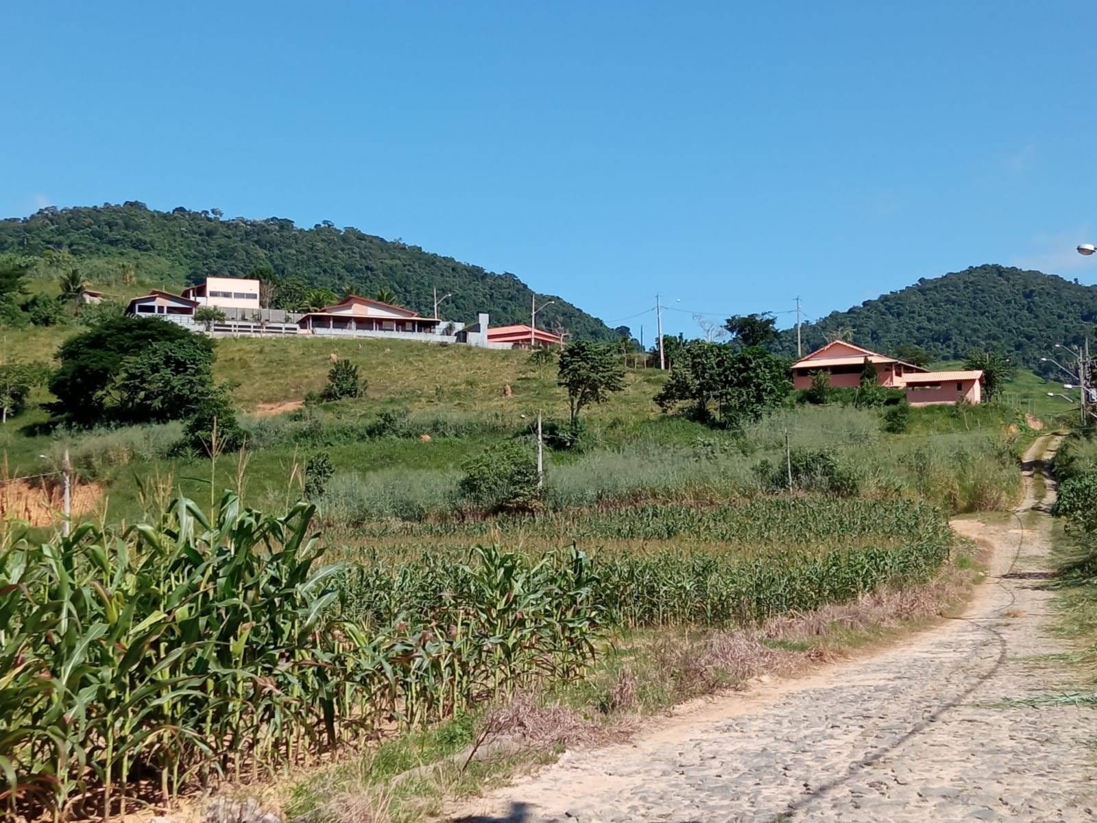 Chácara à venda, Zona Rural, Silveirânia, MG - foto 5