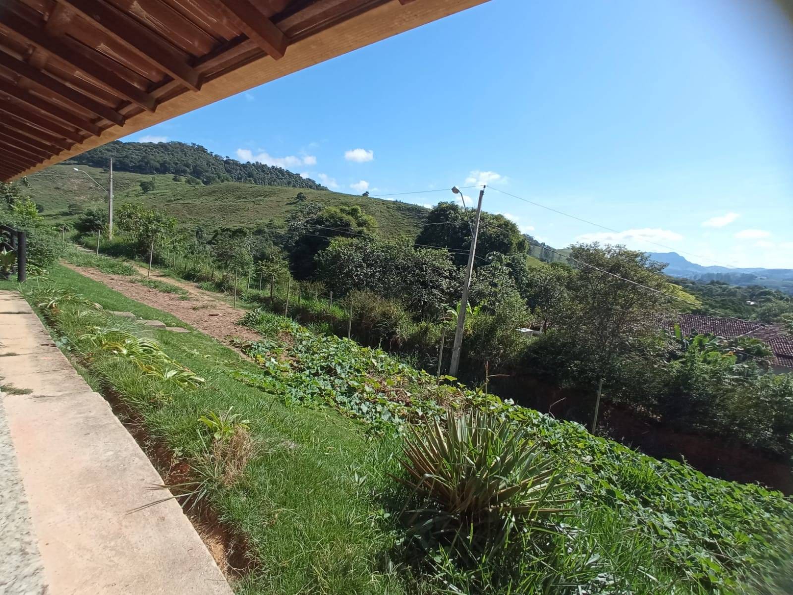 Chácara à venda, Zona Rural, Silveirânia, MG - foto 24