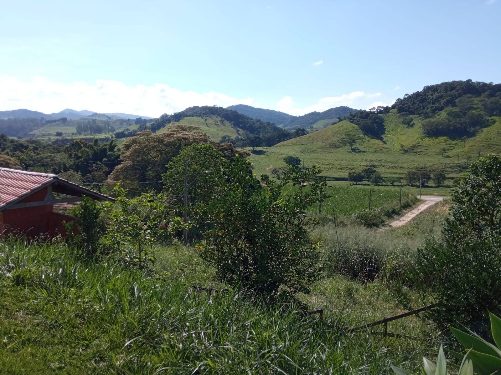 Chácara à venda, Zona Rural, Silveirânia, MG - foto 25