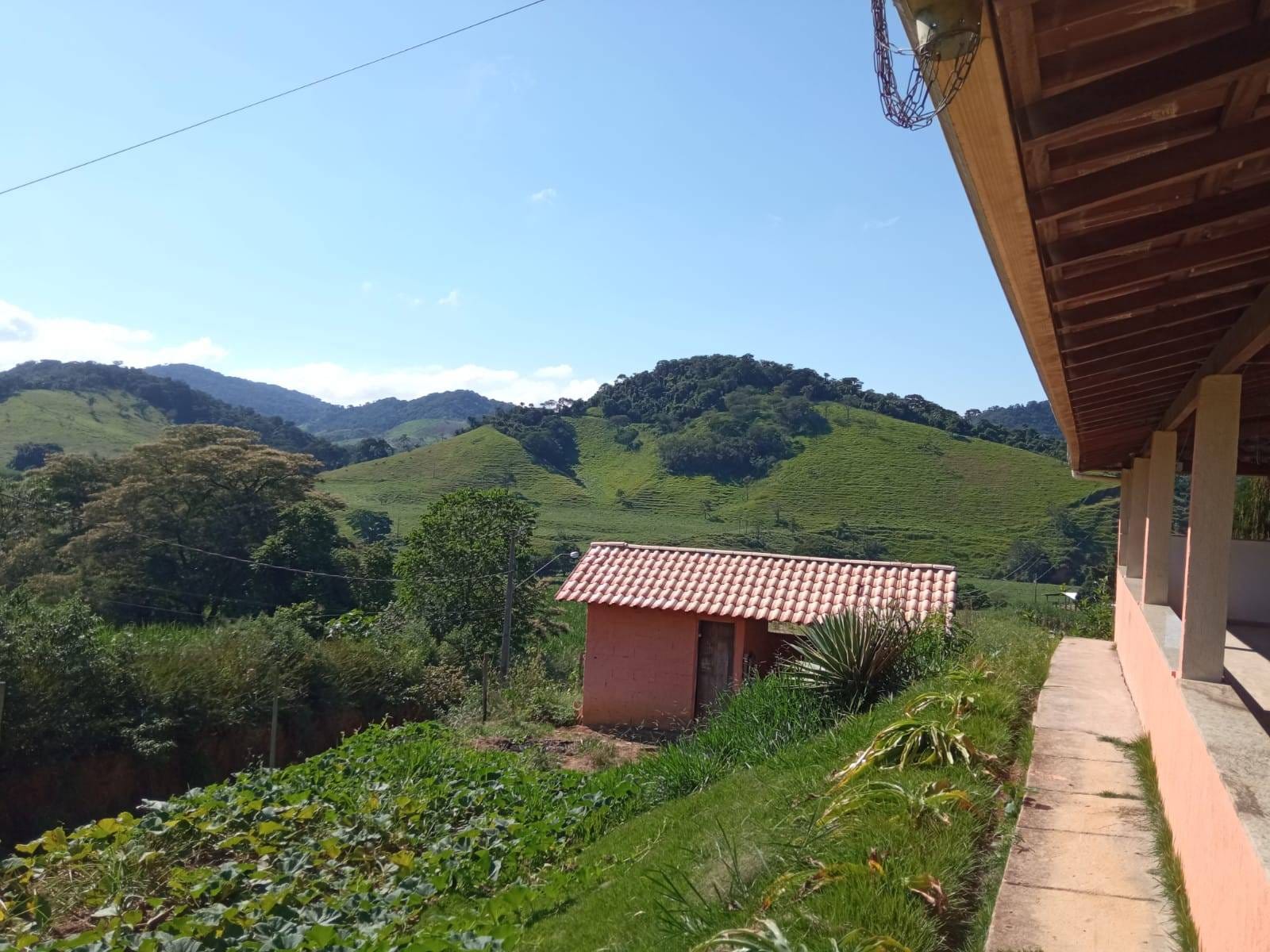 Chácara à venda, Zona Rural, Silveirânia, MG - foto 29