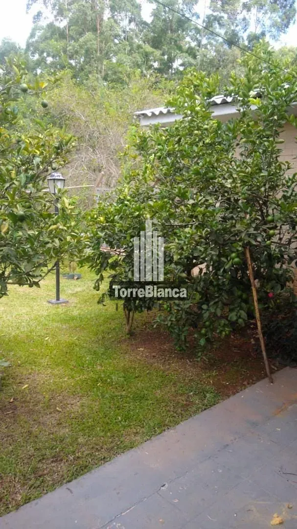 Chácara, 4 quartos, 1287 m² - Foto 13