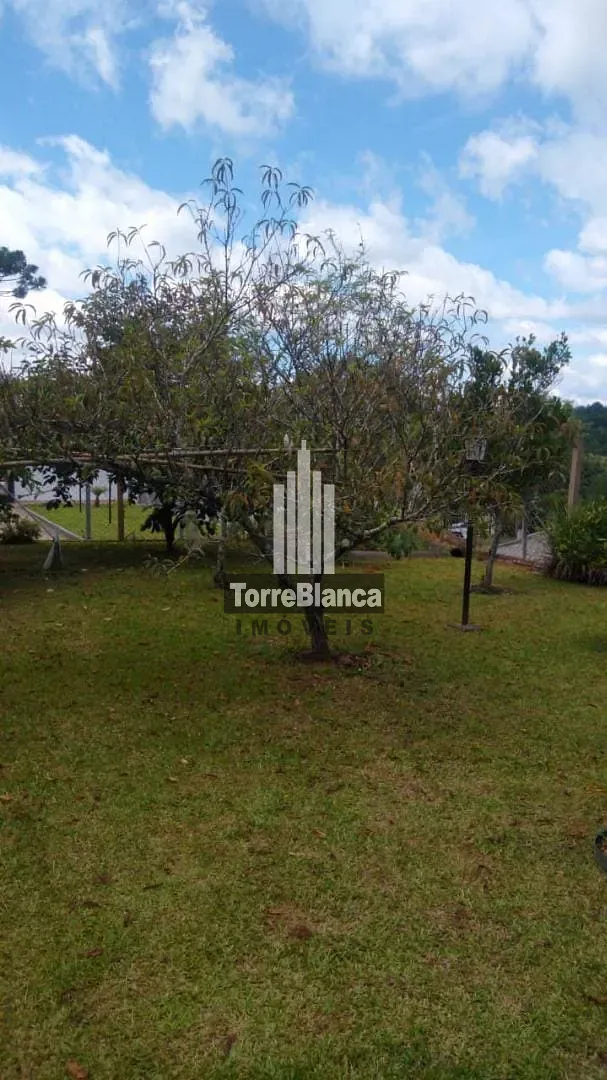 Chácara, 4 quartos, 1287 m² - Foto 14