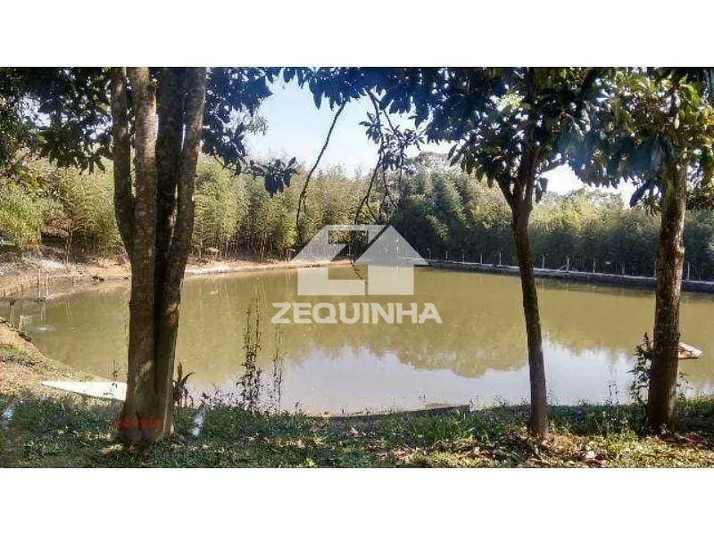 Sítio, 4 quartos, 12 hectares - Foto 3