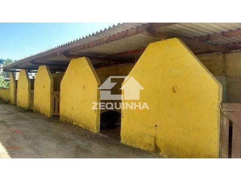 Sítio, 4 quartos, 12 hectares - Foto 16