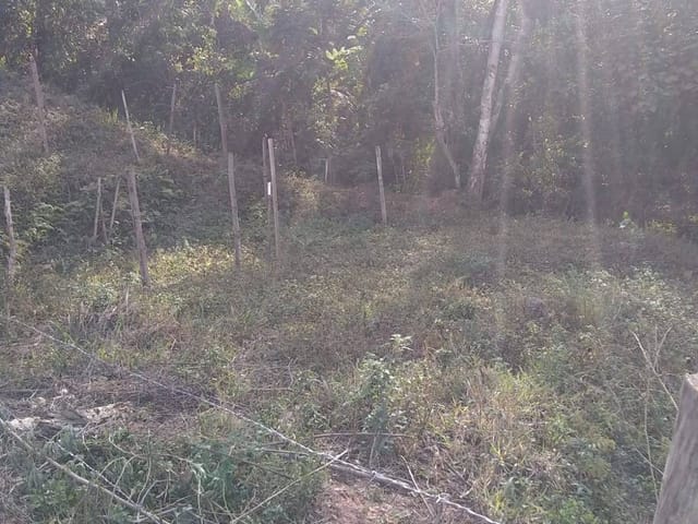 Chácara com 3200m² 2 quartos e 2 banheiros, à venda, no bairro senado em Senador José Bento