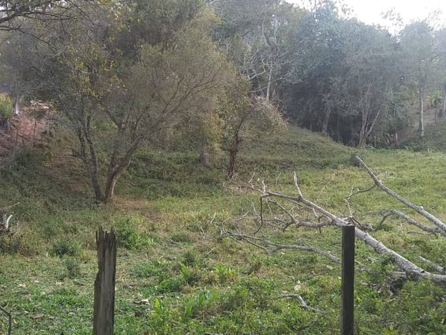 Chácara com 3200m² 2 quartos e 2 banheiros, à venda, no bairro senado em Senador José Bento