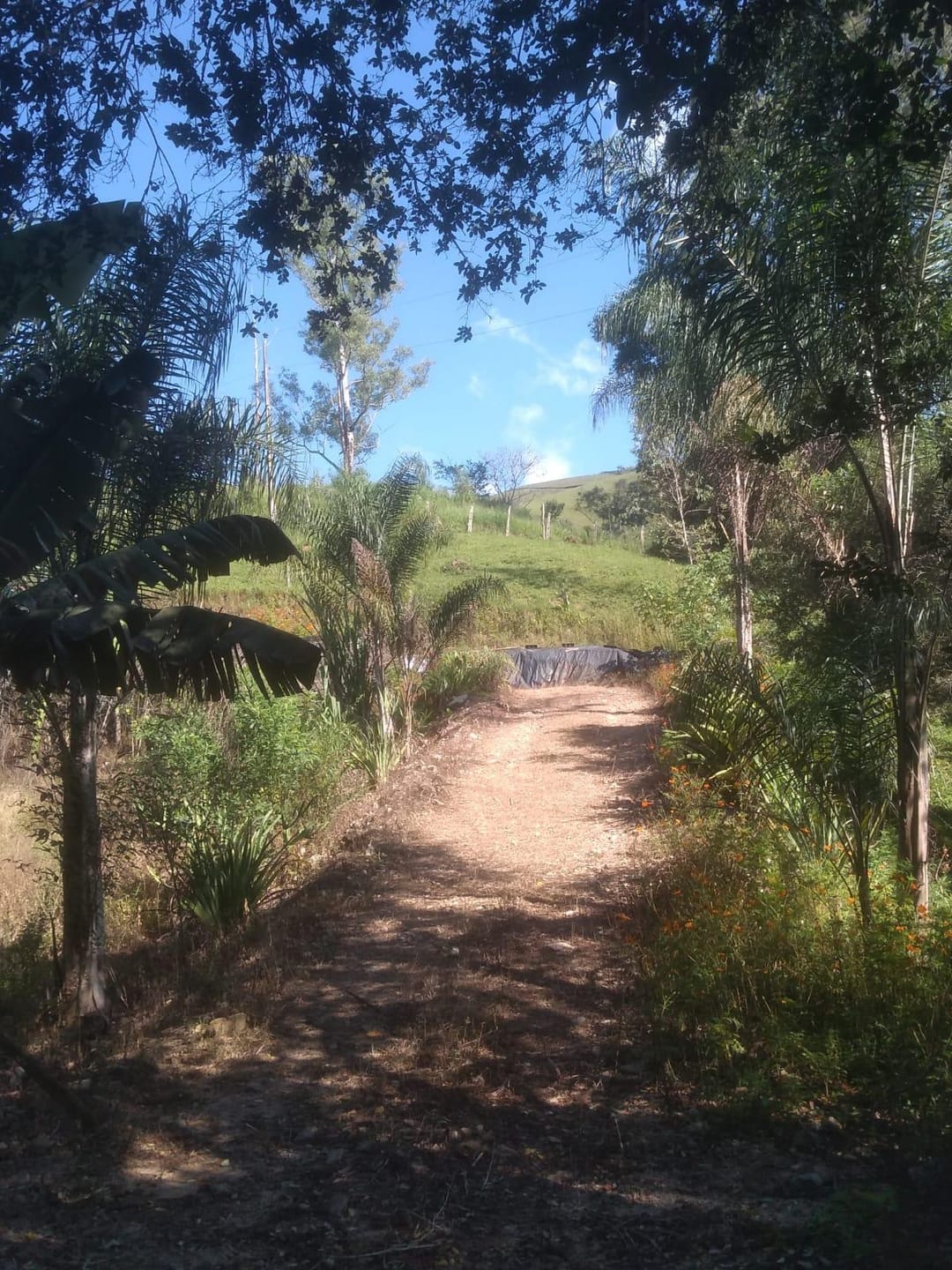 Chácara, 2 quartos, 3200 m² - Foto 1