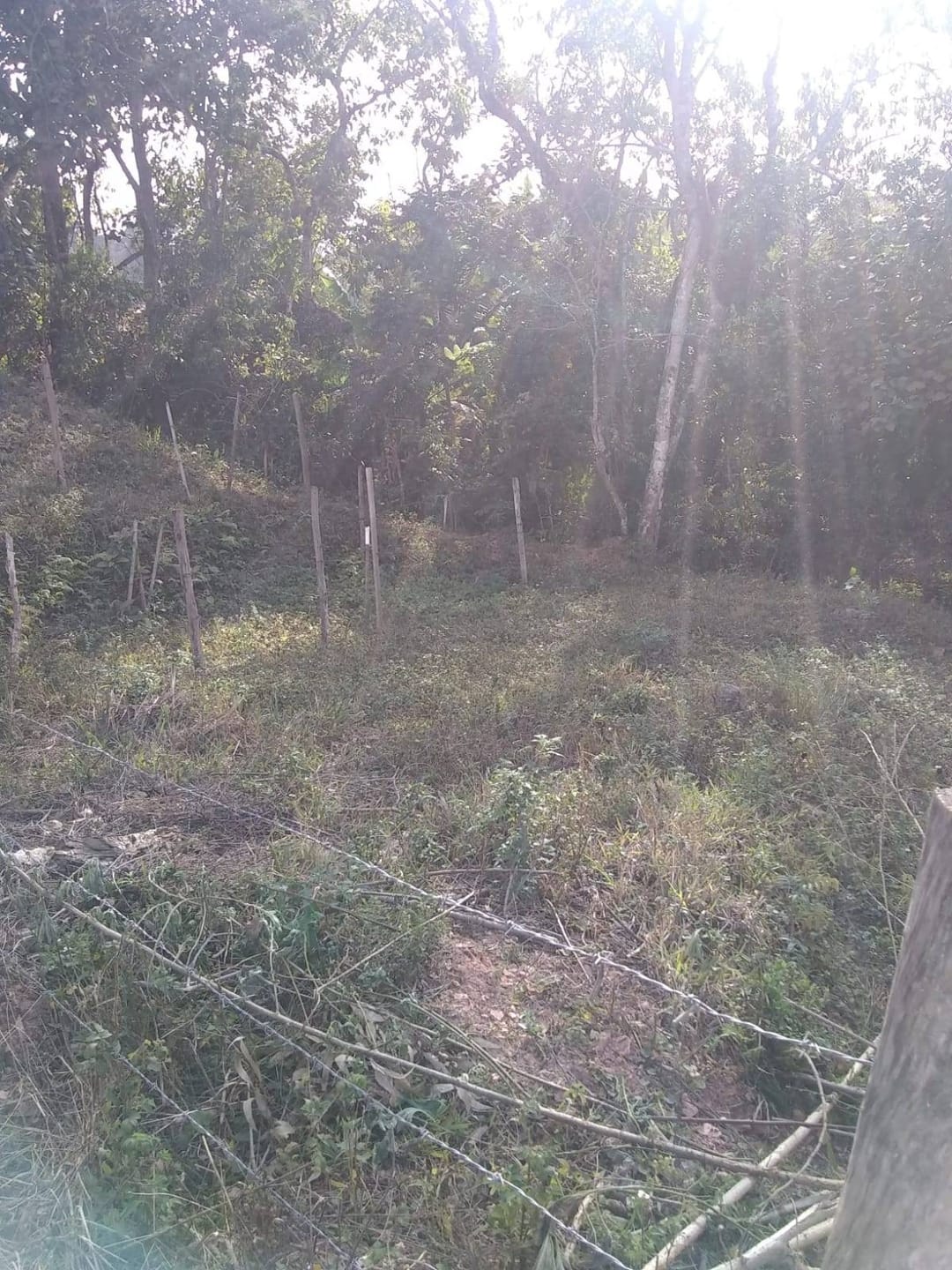 Chácara, 2 quartos, 3200 m² - Foto 3