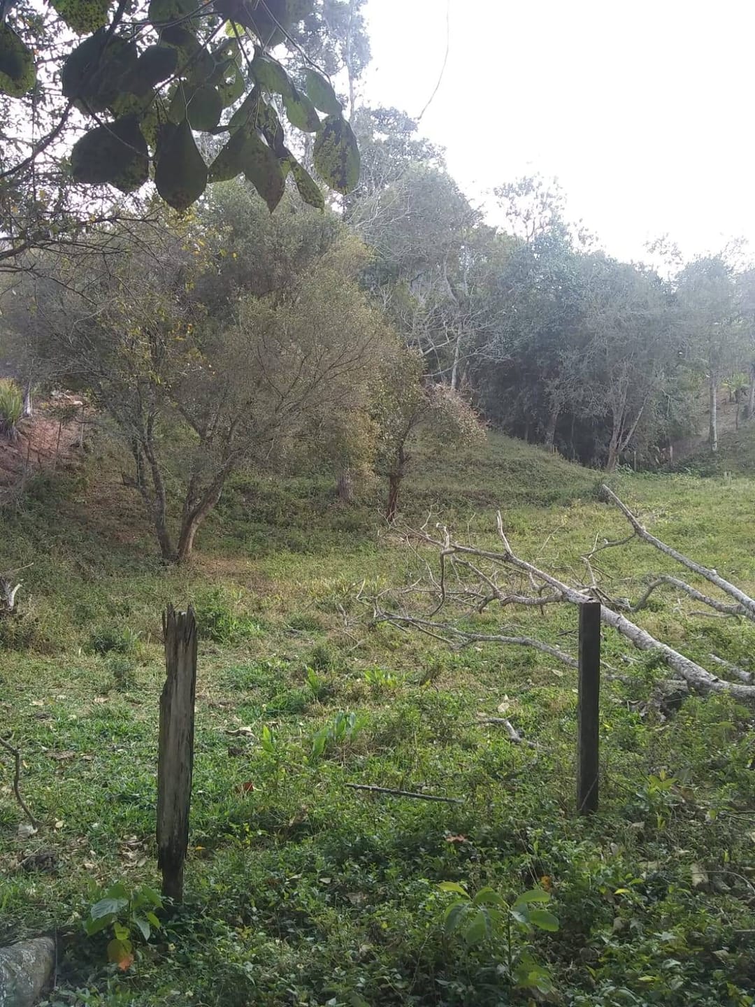 Chácara, 2 quartos, 3200 m² - Foto 5