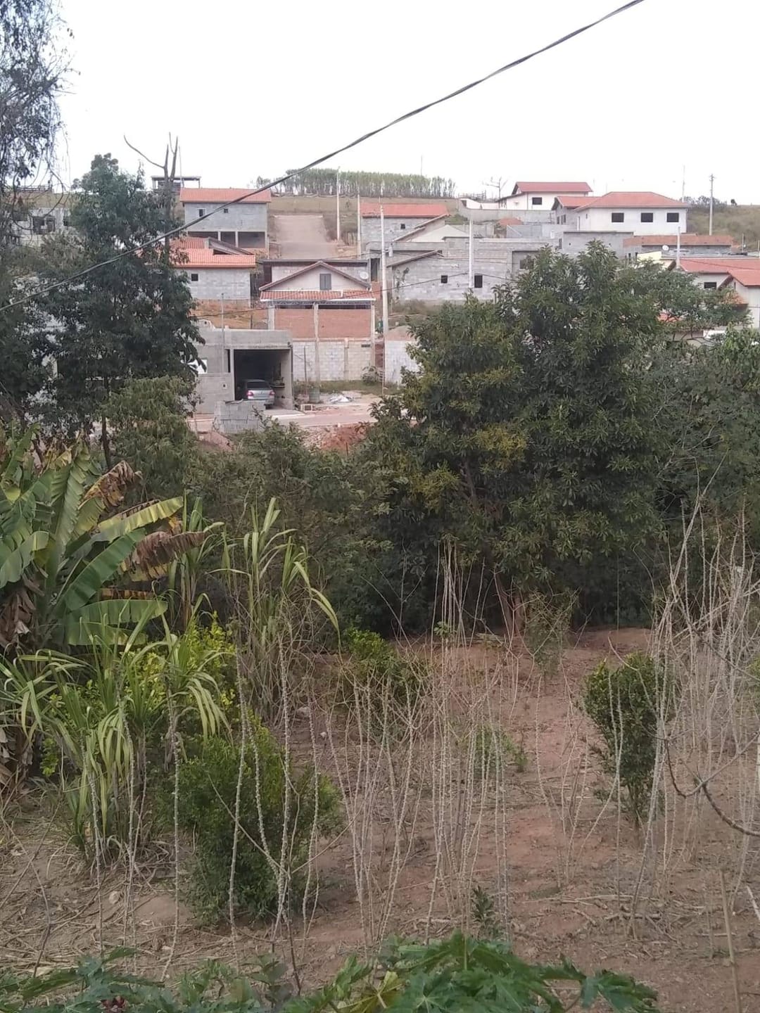 Chácara, 2 quartos, 3200 m² - Foto 6