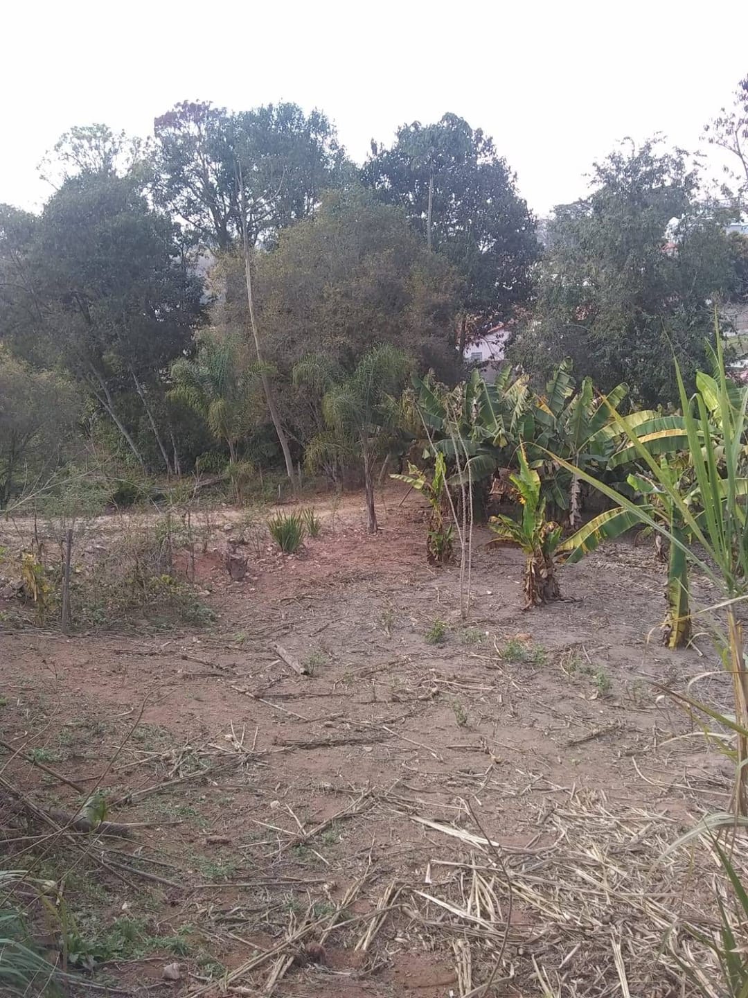 Chácara, 2 quartos, 3200 m² - Foto 9