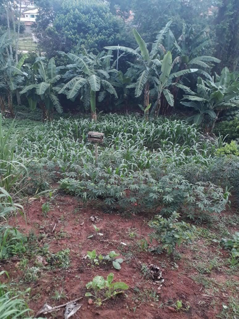 Chácara, 2 quartos, 3200 m² - Foto 11