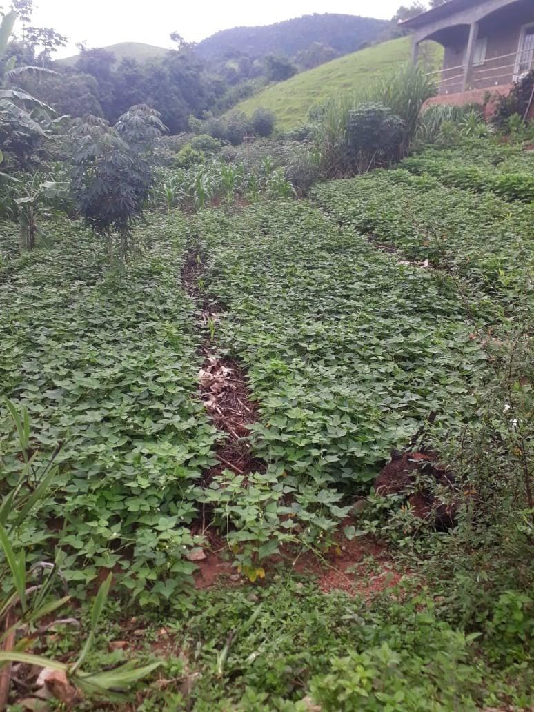 Chácara, 2 quartos, 3200 m² - Foto 12