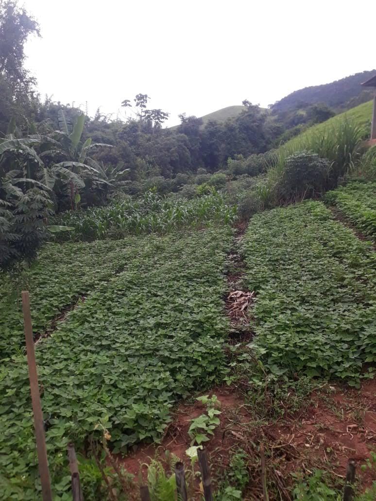 Chácara, 2 quartos, 3200 m² - Foto 14