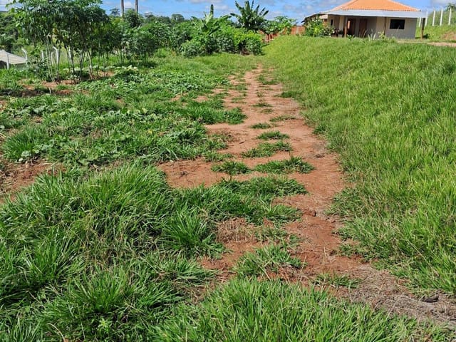 Foto do Chácara - Chácara à venda, casa de laje, 2 quartos, sala, banheiro, cozinha, lavanderia e 1 garagem coberta, em CAMPO ALEGRE, 13 KM de Votuporanga, Valentim Gentil, SP | Imobiliária Na House