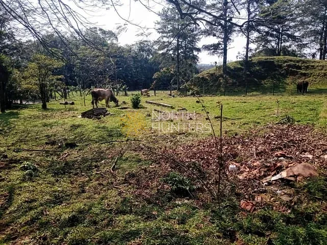 Chácara com 37266m² 3 quartos e 3 banheiros, à venda, no bairro Vila Nova em Joinville