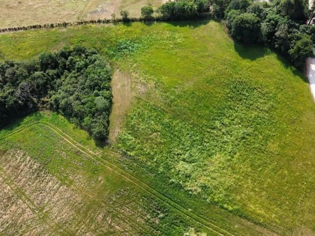Sítio à venda, no bairro Ferraria em Campo Largo
