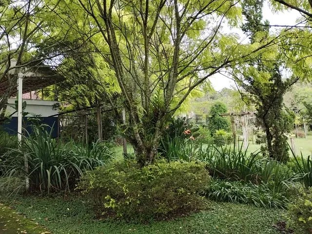 Chácara com 6000m² 6 quartos e 2 banheiros, à venda, no bairro Laje em Piranguinho