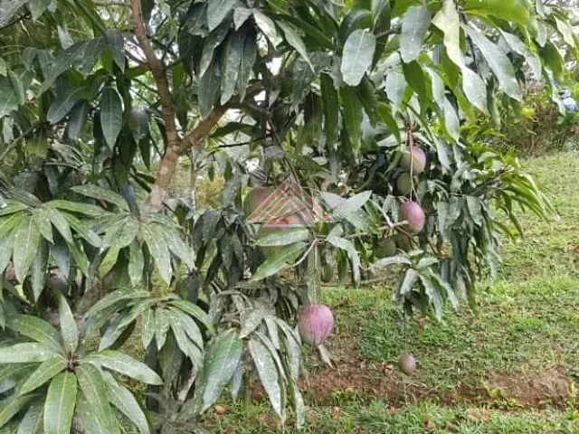 Chácara com 1000m² 3 quartos e 2 banheiros, à venda, no bairro Centro em Extrema