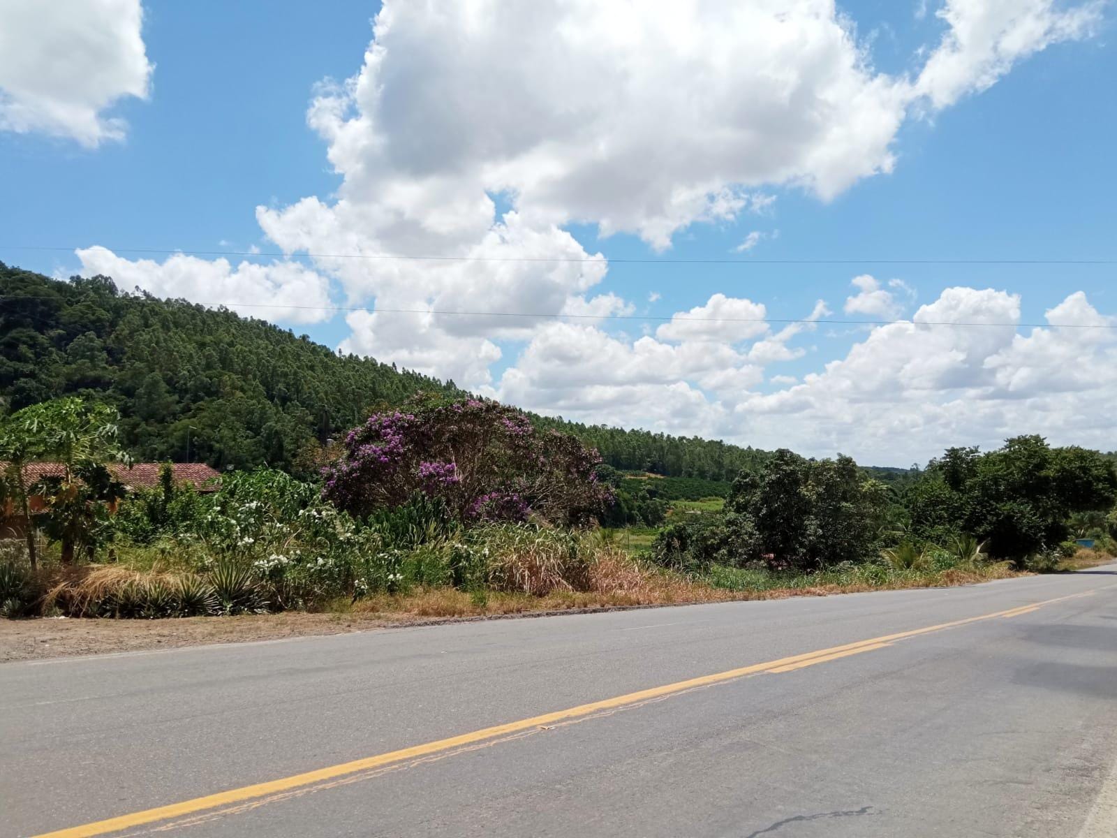 Chácara à venda, ZONA RURAL, Rio Pomba, MG - foto 6