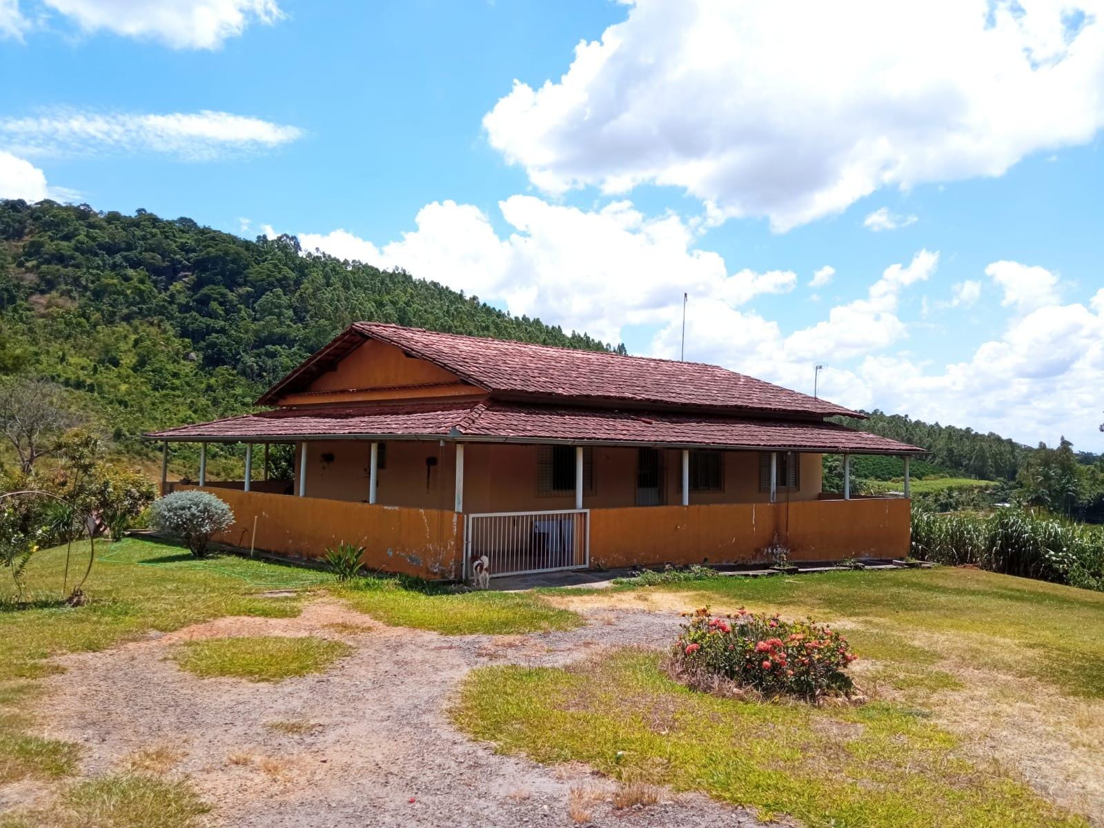 Chácara à venda, ZONA RURAL, Rio Pomba, MG - foto 9
