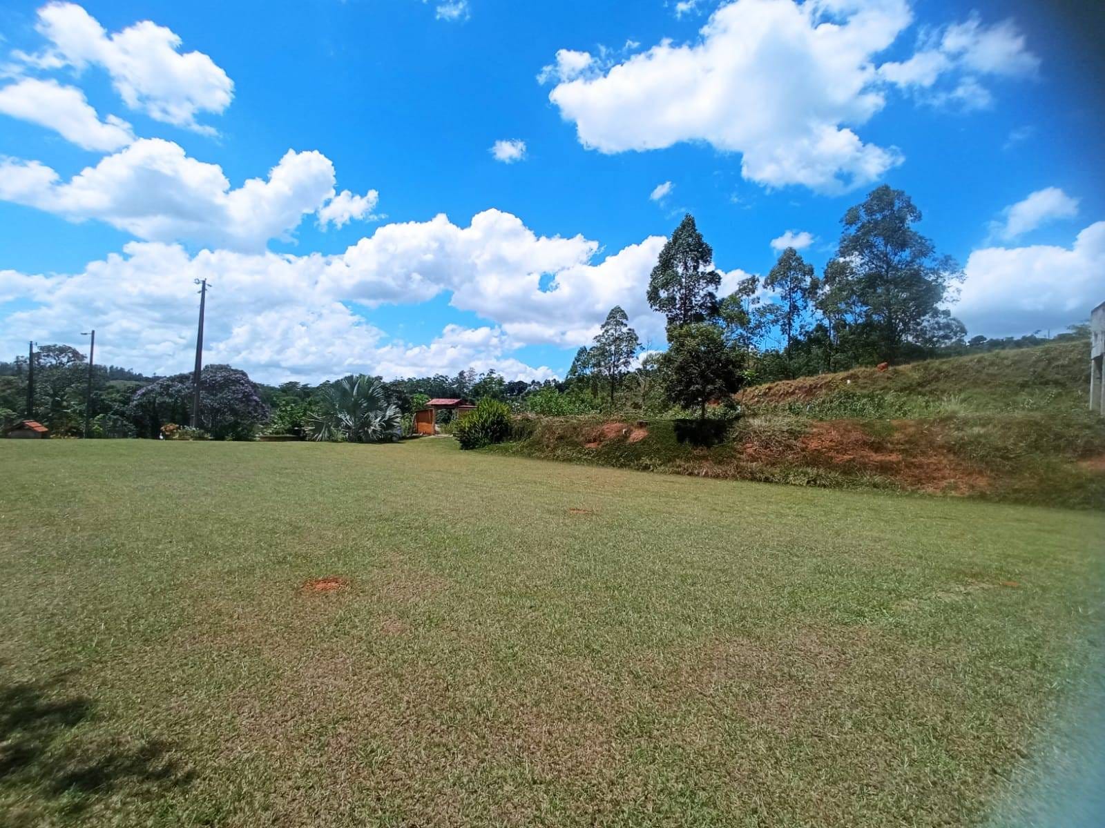 Chácara à venda, ZONA RURAL, Rio Pomba, MG - foto 14