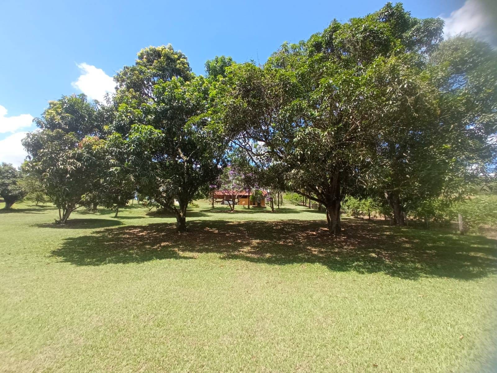 Chácara à venda, ZONA RURAL, Rio Pomba, MG - foto 26