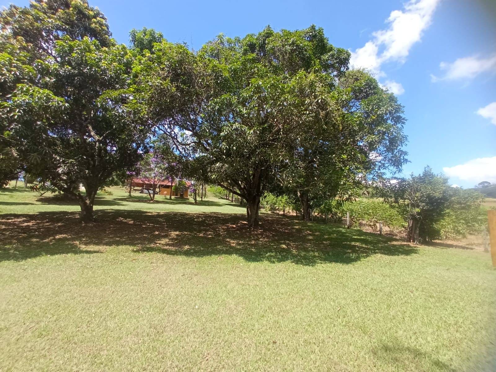 Chácara à venda, ZONA RURAL, Rio Pomba, MG - foto 27