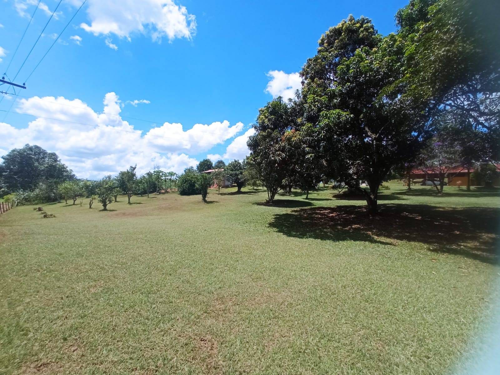 Chácara à venda, ZONA RURAL, Rio Pomba, MG - foto 28