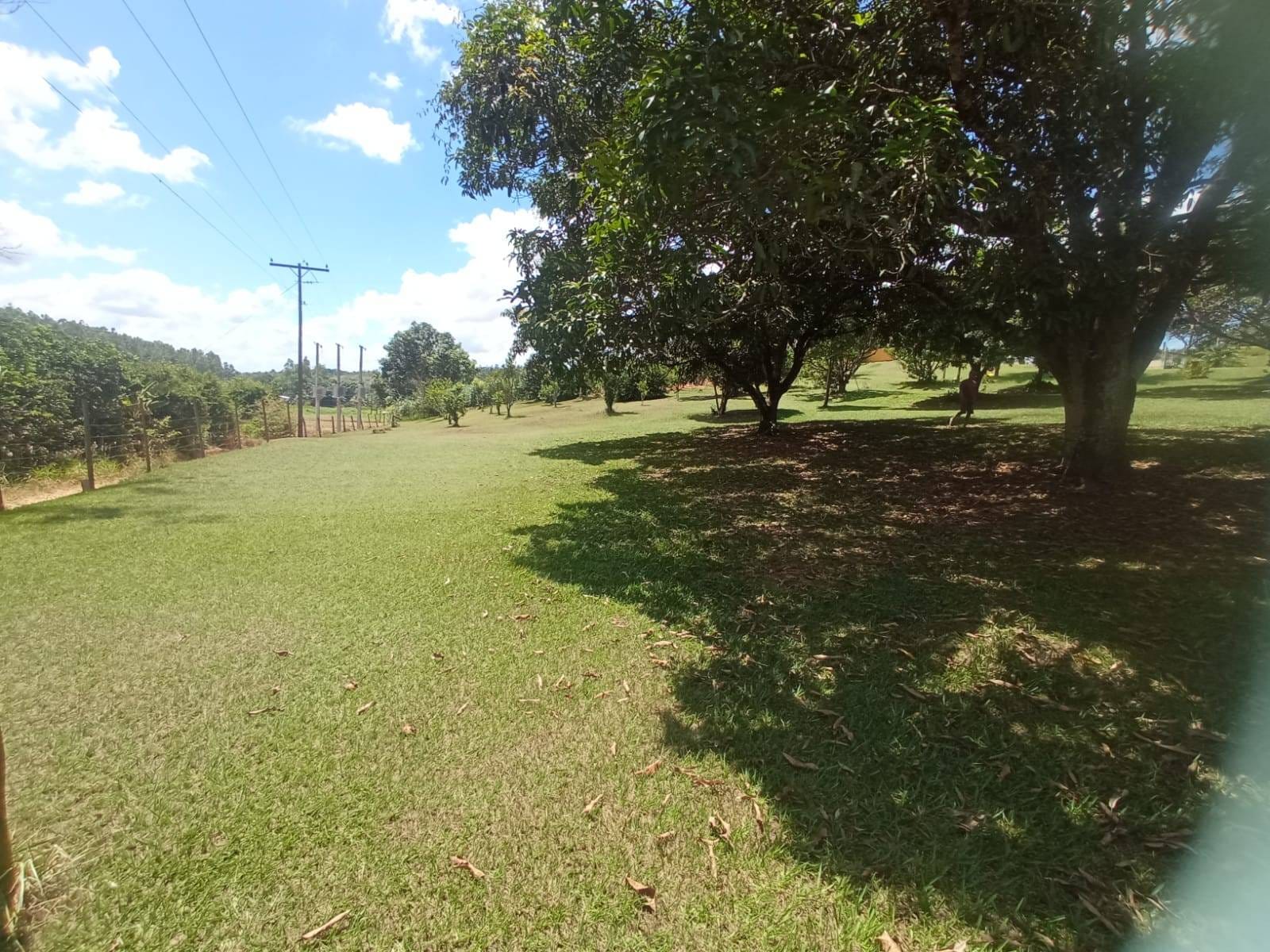 Chácara à venda, ZONA RURAL, Rio Pomba, MG - foto 29