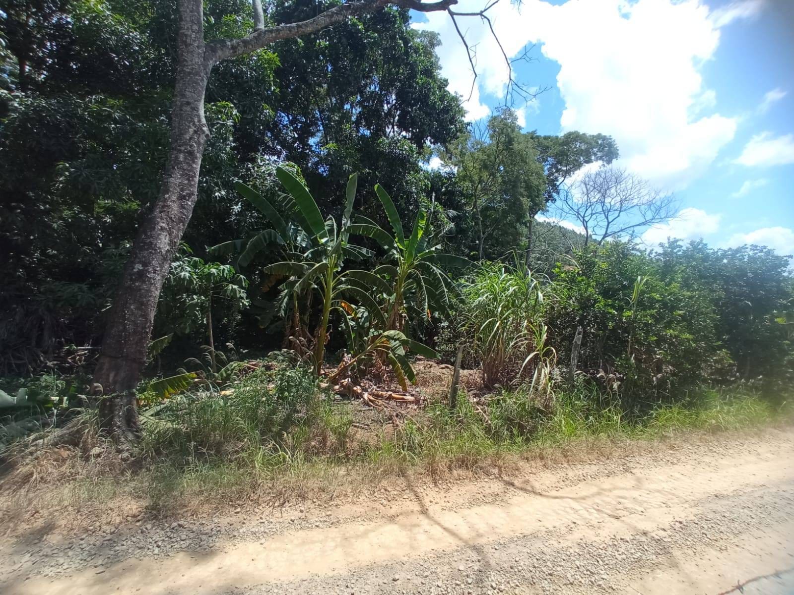 Chácara à venda, ZONA RURAL, Rio Pomba, MG - foto 30