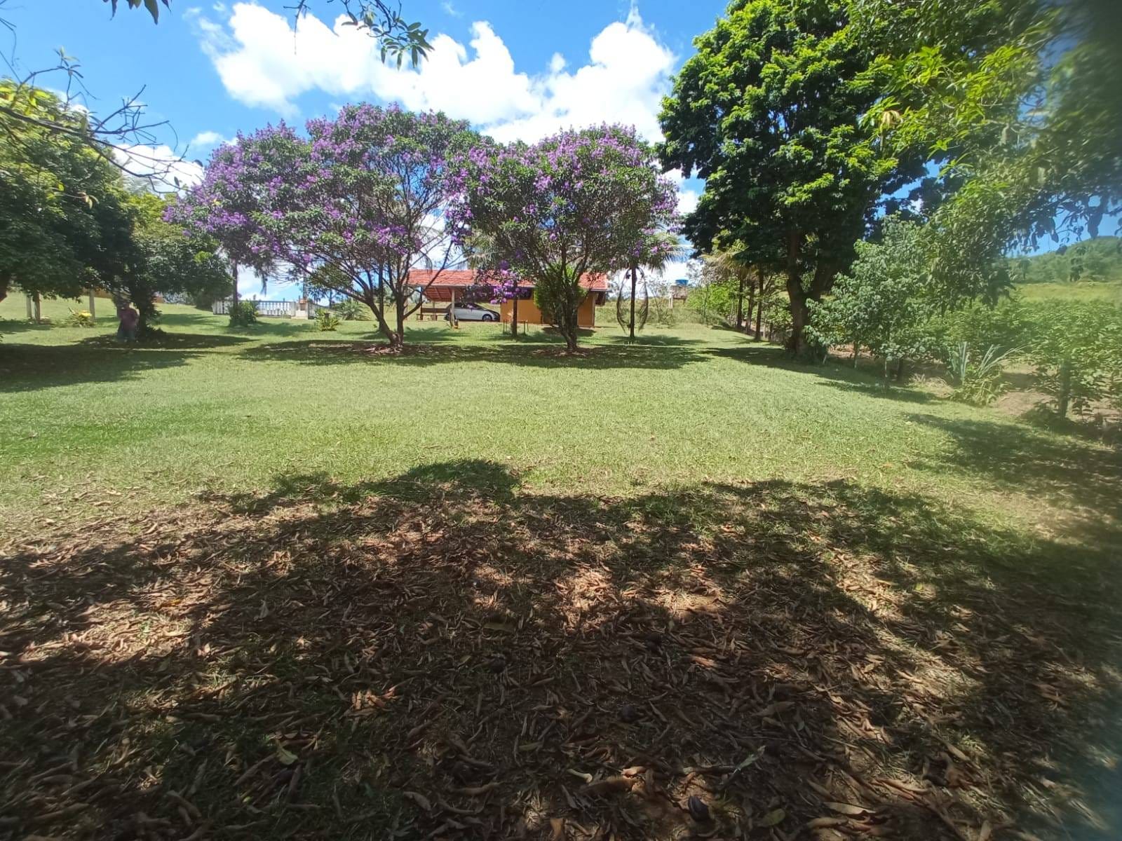 Chácara à venda, ZONA RURAL, Rio Pomba, MG - foto 31