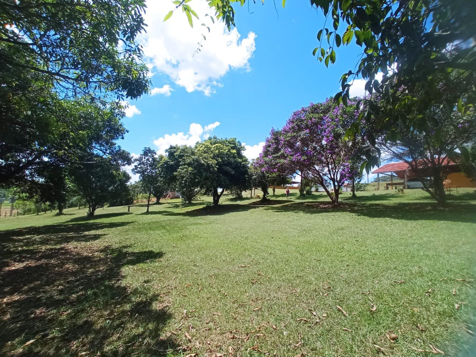 Chácara à venda, ZONA RURAL, Rio Pomba, MG - foto 33