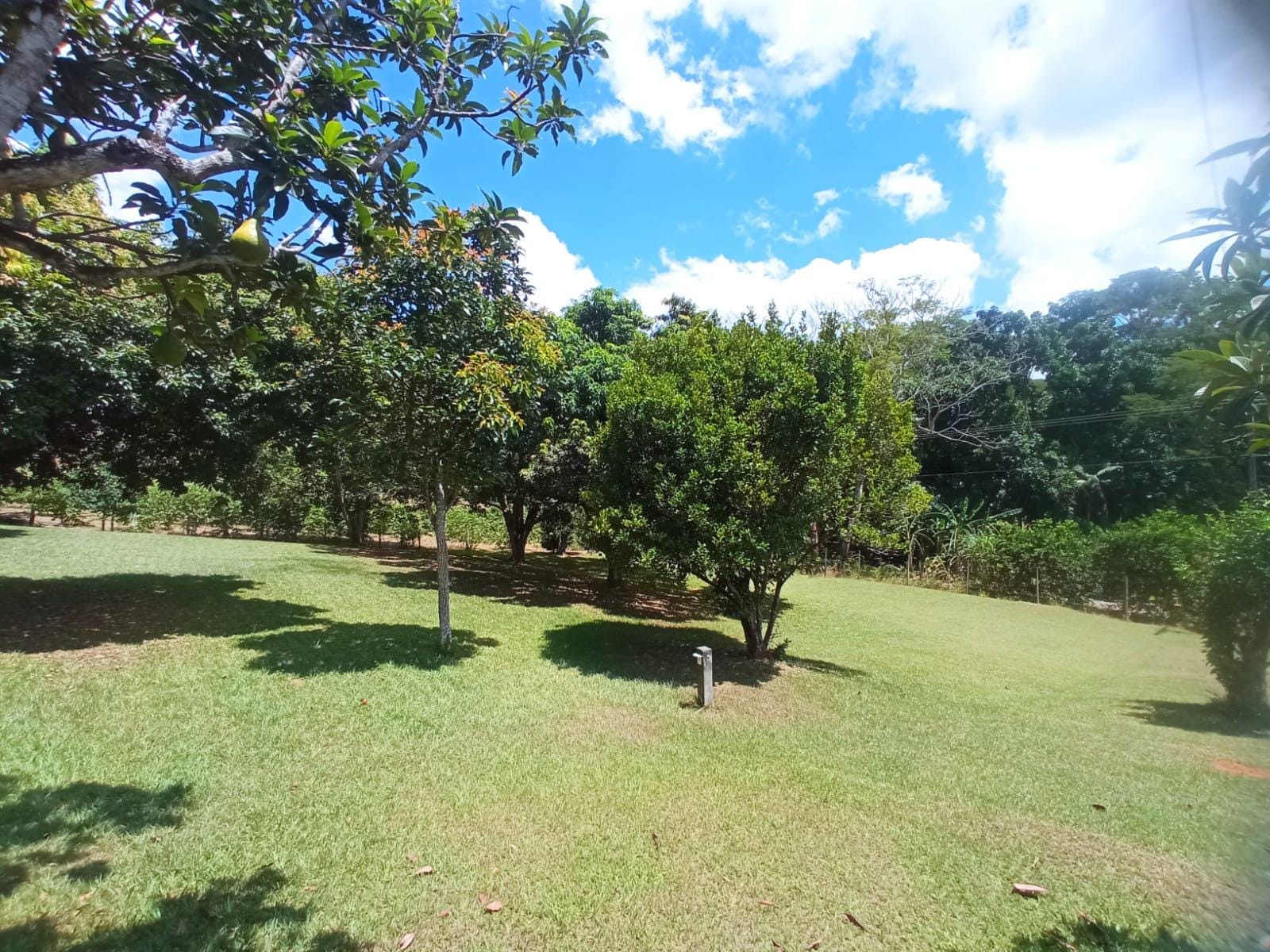Chácara à venda, ZONA RURAL, Rio Pomba, MG - foto 34