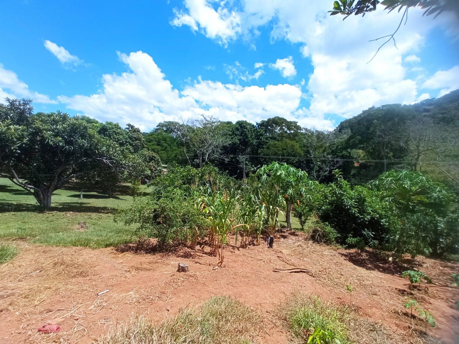 Chácara à venda, ZONA RURAL, Rio Pomba, MG - foto 35