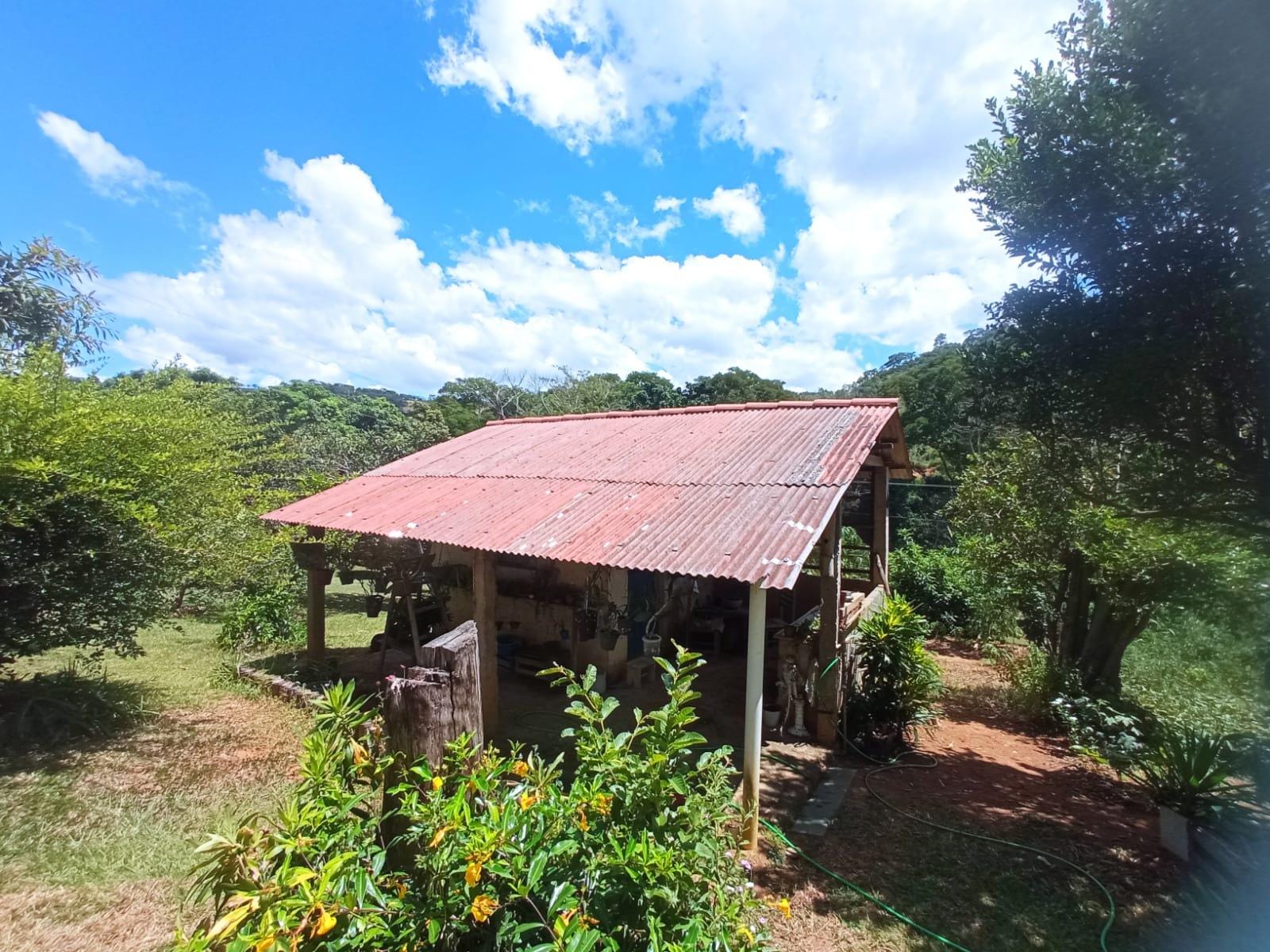 Chácara à venda, ZONA RURAL, Rio Pomba, MG - foto 36